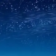 碧海の画像