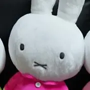 ぱぴこの画像