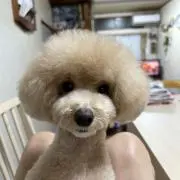 やまちゃんの画像