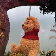 ミシェルの画像