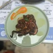 nの画像