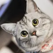 もふもふ( ^ω^ )
