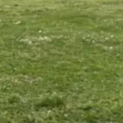 mの画像