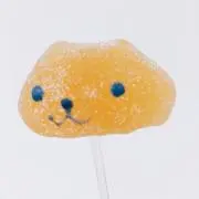 ぽむの画像