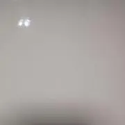 ハムの画像