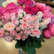 ROSEの画像