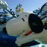 まめこ