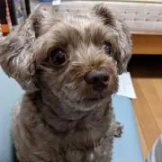 ☆カプチーの☆の画像