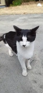 なのの画像