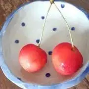 SALLY/プロフ要チェック