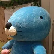まひころの画像