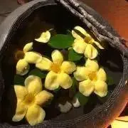 じゃるの画像