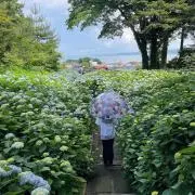 かなんの画像