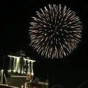 金魚注意報の画像