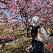 remiの画像