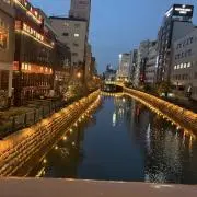 ナナバの画像