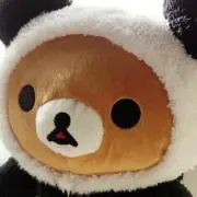 Kotetsuの画像