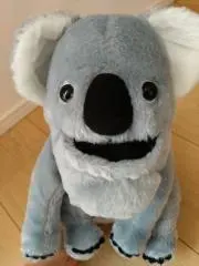 こあらの画像