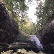 @abcの画像