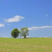 ふうの画像