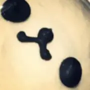 namicoの画像