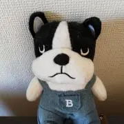MOGMOGの画像