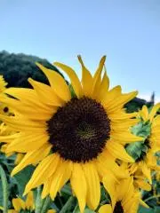 y❤︎まとめ割可能の画像
