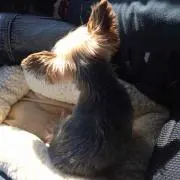 yuua♡mama