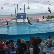 Image of ☆迅速対応^_^即購入歓迎✨@Y.U