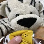 ゆの画像
