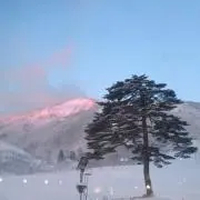 youの画像