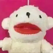 chicoの画像