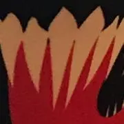 滝