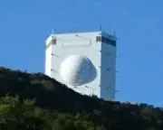 ミミの画像