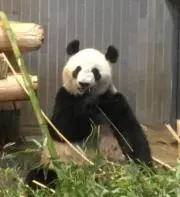 みやむうの画像