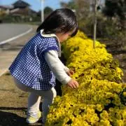 ごん✈︎