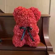 ここすけの画像