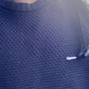 トドの画像