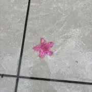 うち
