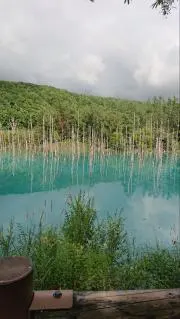 さらの画像