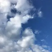 ヒューマニズム プロフィール必読の画像