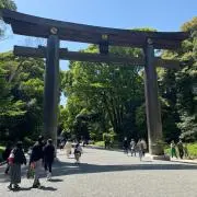 maruの画像
