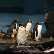 うすの画像