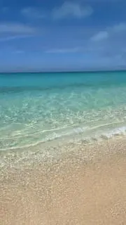 Lilyの画像