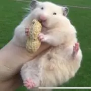 ゆるり 値下げ交渉⭕️の画像