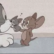 ぴよきちの画像
