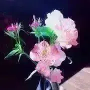 即購入OK❗️の画像