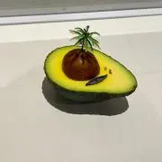 あぼかど