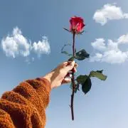 hm☁*°
