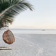 ocean‪✯‬の画像